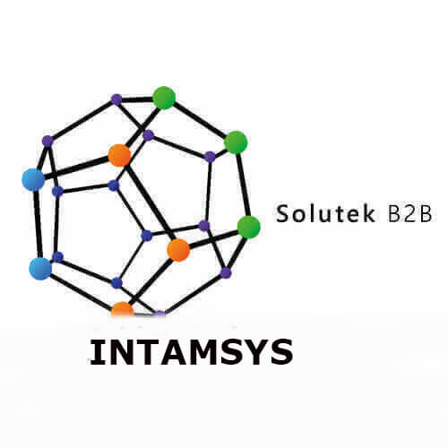 Intamsys